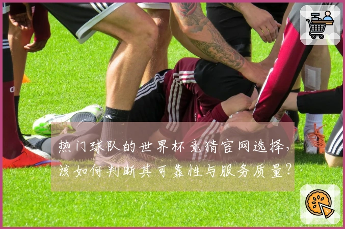 热门球队的世界杯竞猜官网选择，该如何判断其可靠性与服务质量？