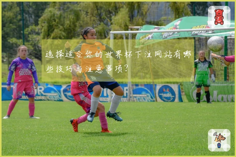 选择适合你的世界杯下注网站有哪些技巧与注意事项?