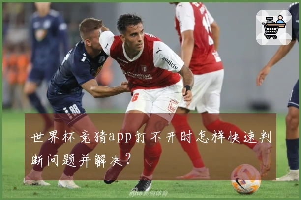 世界杯竞猜app打不开时怎样快速判断问题并解决？