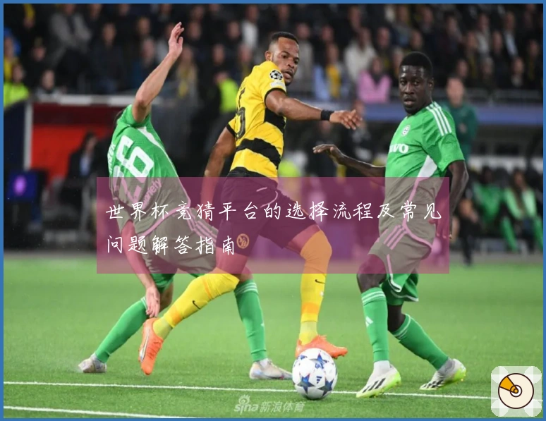 世界杯竞猜平台的选择流程及常见问题解答指南