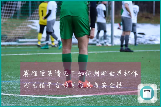 赛程密集情况下如何判断世界杯体彩竞猜平台的可信度与安全性
