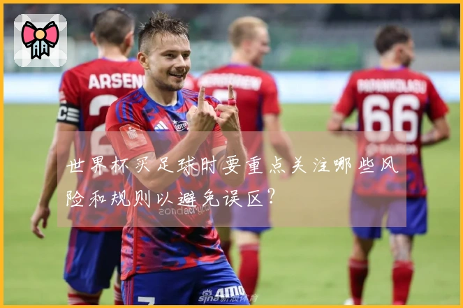 世界杯买足球时要重点关注哪些风险和规则以避免误区？