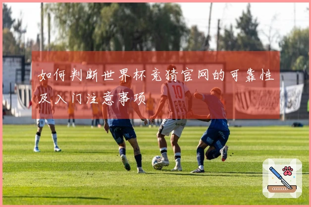 如何判断世界杯竞猜官网的可靠性及入门注意事项