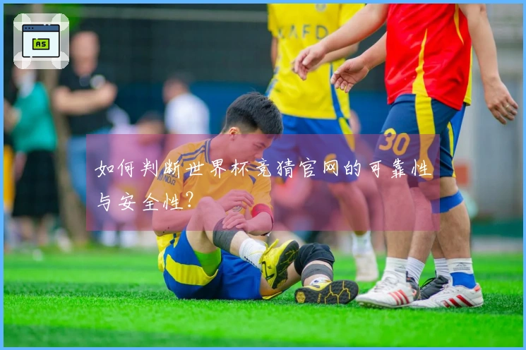 如何判断世界杯竞猜官网的可靠性与安全性?