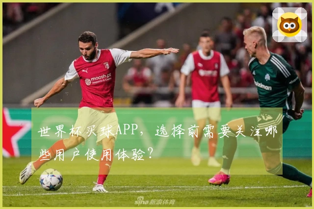 世界杯买球APP，选择前需要关注哪些用户使用体验？