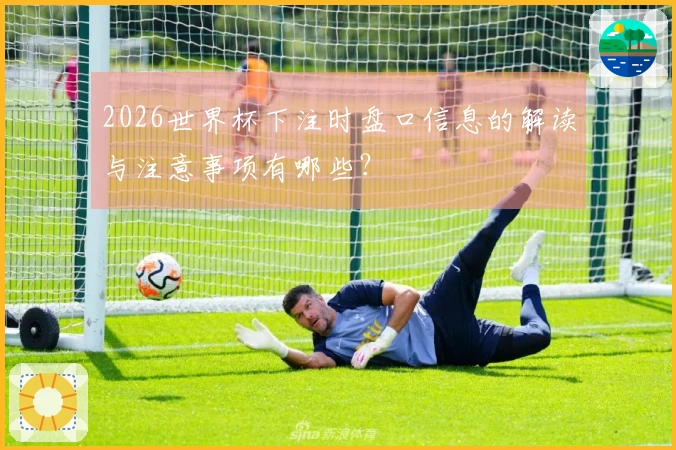 2026世界杯下注时盘口信息的解读与注意事项有哪些？