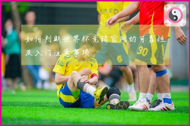 如何判断世界杯竞猜官网的可靠性及入门注意事项