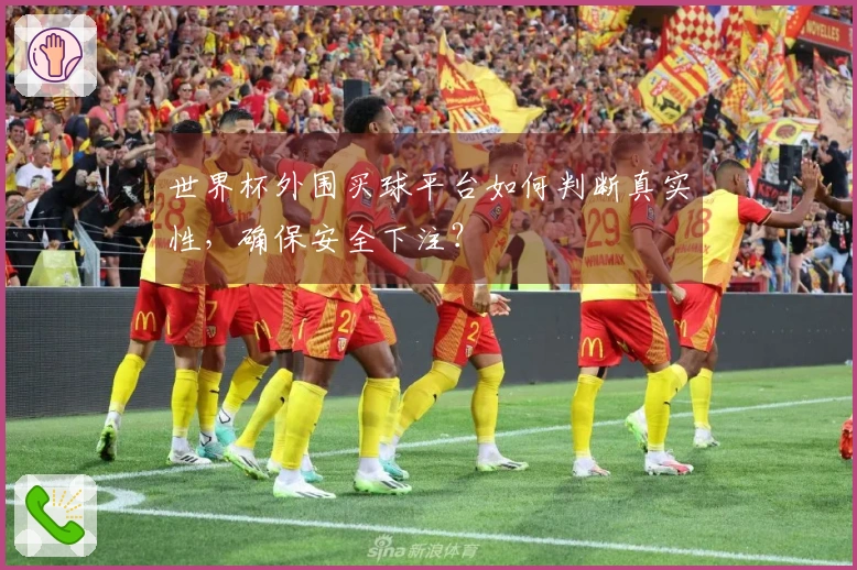 世界杯外围买球平台如何判断真实性,确保安全下注?