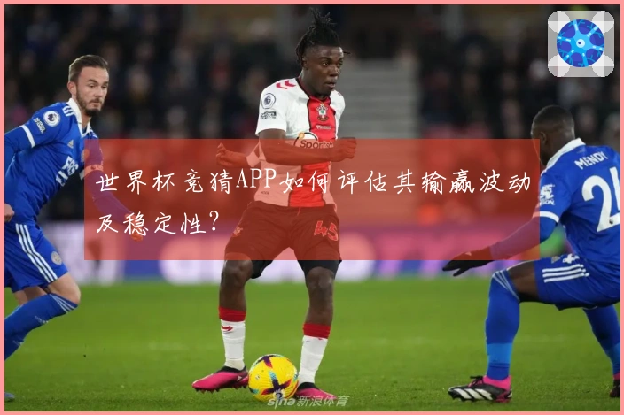 世界杯竞猜APP如何评估其输赢波动及稳定性？
