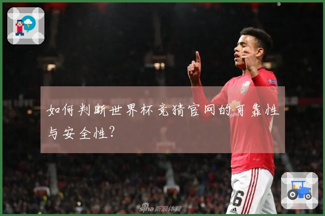 如何判断世界杯竞猜官网的可靠性与安全性？