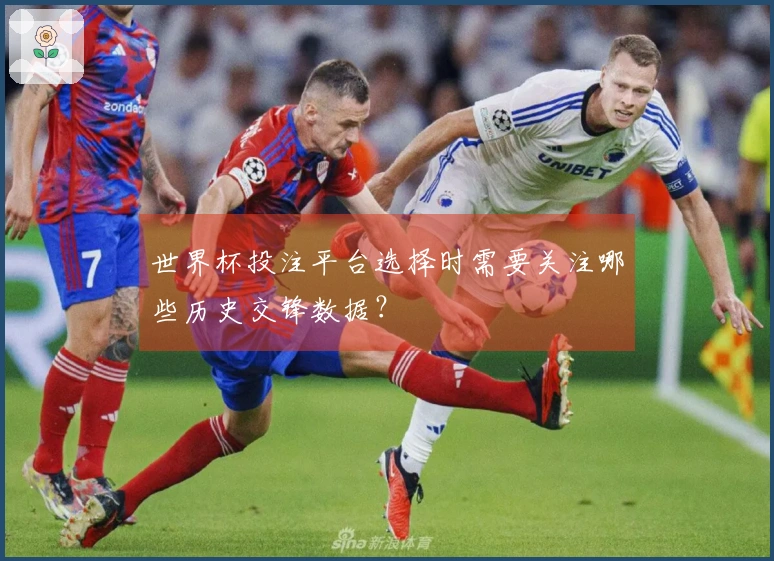 世界杯投注平台选择时需要关注哪些历史交锋数据？