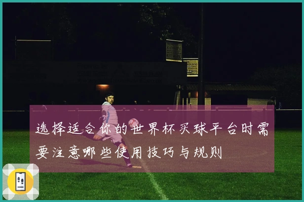 选择适合你的世界杯买球平台时需要注意哪些使用技巧与规则