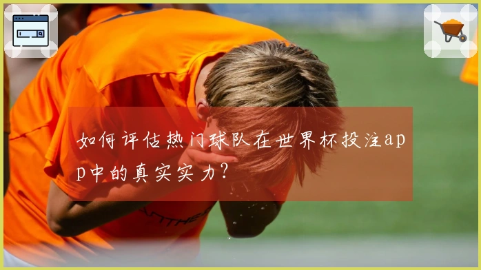 如何评估热门球队在世界杯投注app中的真实实力？