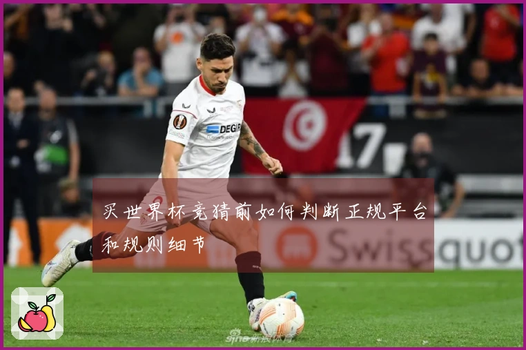 买世界杯竞猜前如何判断正规平台和规则细节