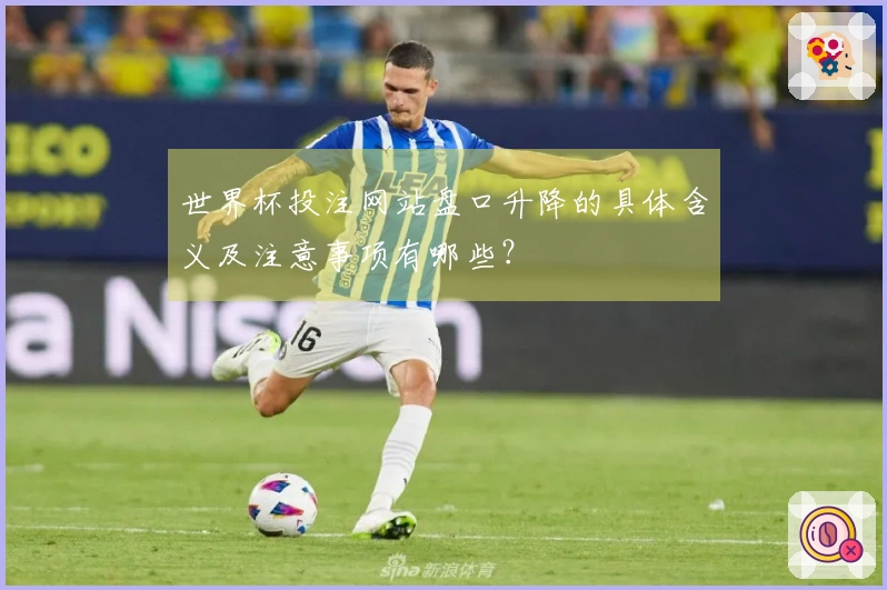 世界杯投注网站盘口升降的具体含义及注意事项有哪些？