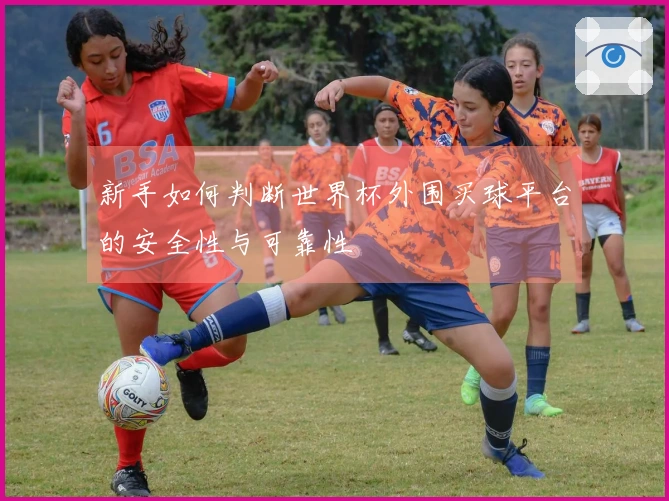 新手如何判断世界杯外围买球平台的安全性与可靠性