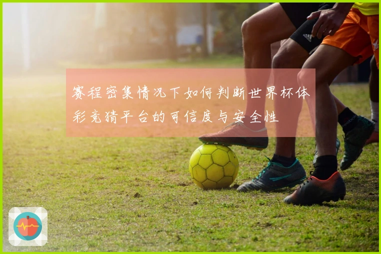 赛程密集情况下如何判断世界杯体彩竞猜平台的可信度与安全性