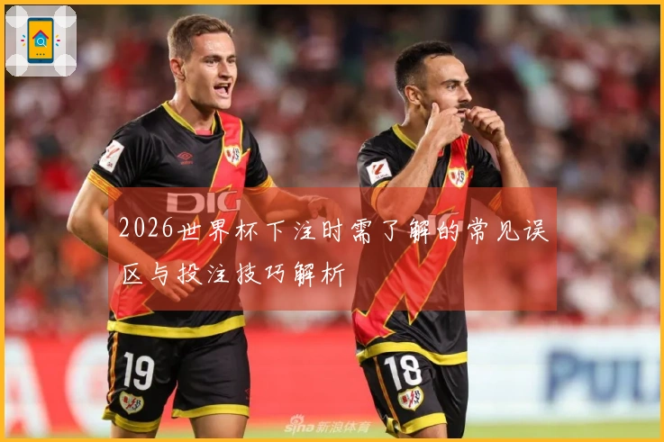 2026世界杯下注时需了解的常见误区与投注技巧解析