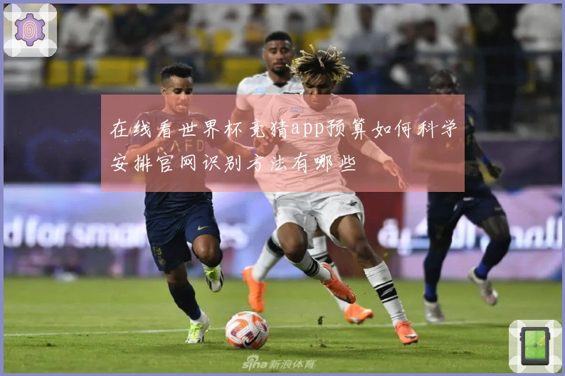 在线看世界杯竞猜app预算如何科学安排官网识别方法有哪些