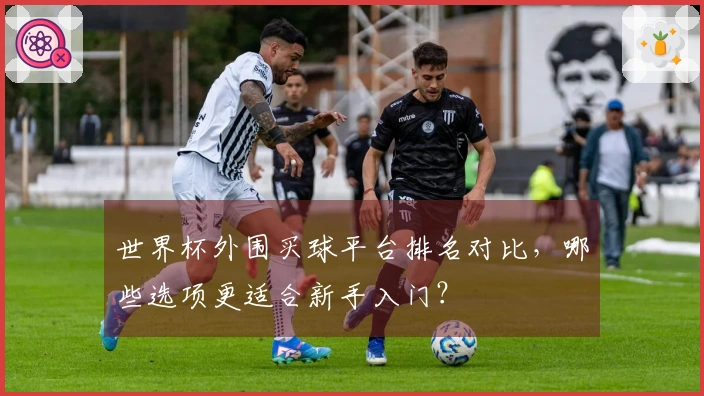世界杯外围买球平台排名对比，哪些选项更适合新手入门？