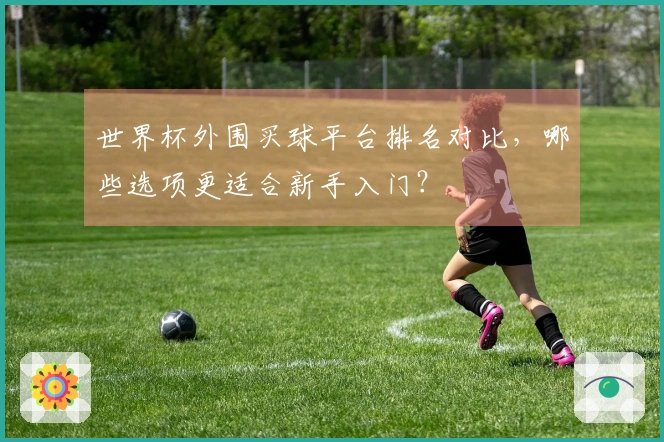 世界杯外围买球平台排名对比，哪些选项更适合新手入门？