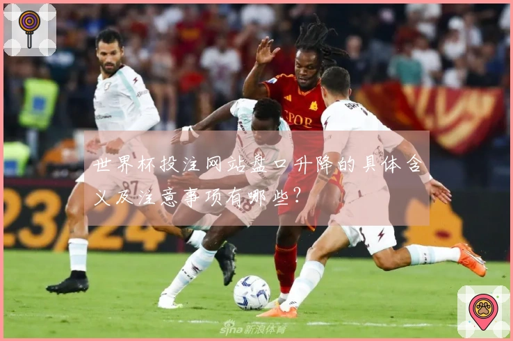 世界杯投注网站盘口升降的具体含义及注意事项有哪些?