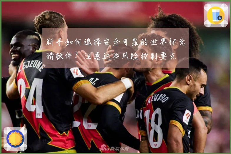 新手如何选择安全可靠的世界杯竞猜软件？注意这些风险控制要点