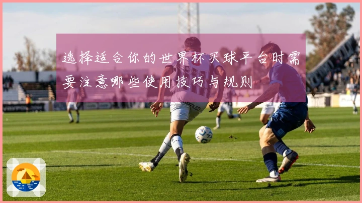 选择适合你的世界杯买球平台时需要注意哪些使用技巧与规则