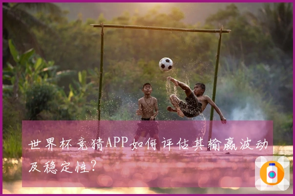 世界杯竞猜APP如何评估其输赢波动及稳定性？