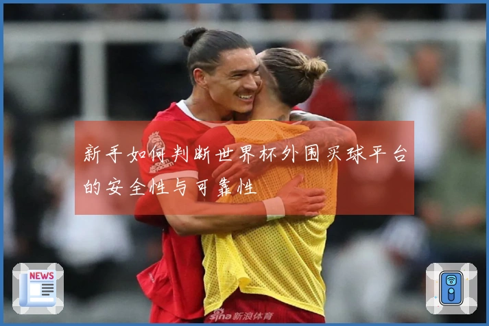 新手如何判断世界杯外围买球平台的安全性与可靠性